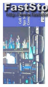Mspy Monthly Subscription